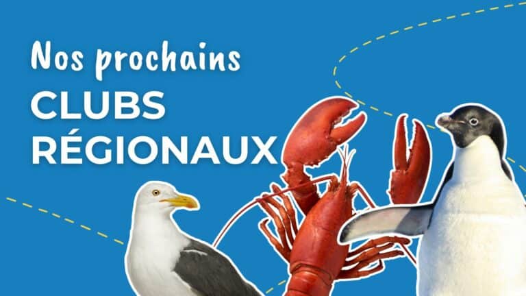 Nouveau template Veille presse - 2026-01-20T095231