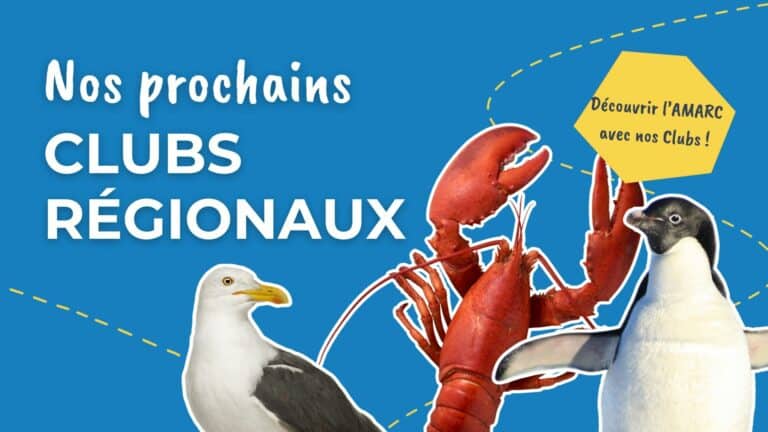 Nouveau template Veille presse - 2026-01-20T101056